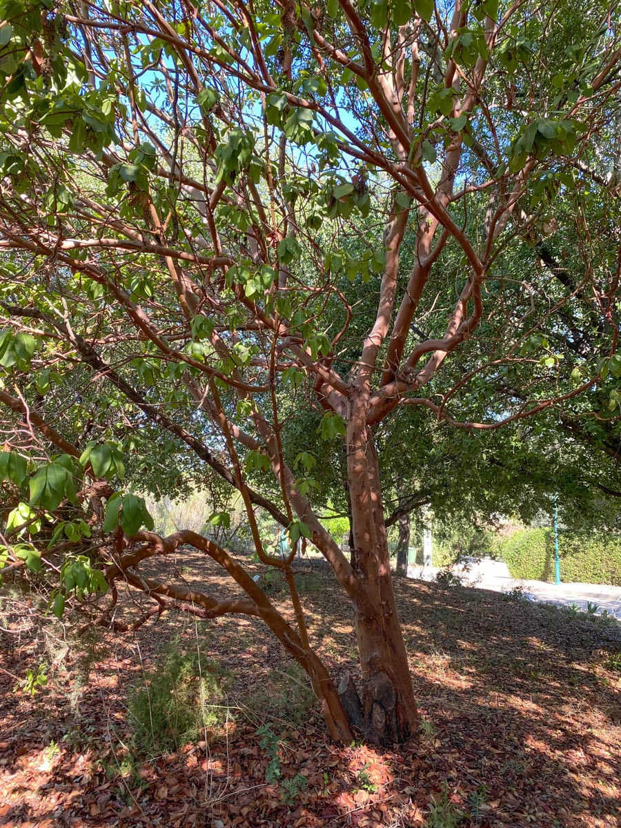 משה והגר חצרוני, 2004